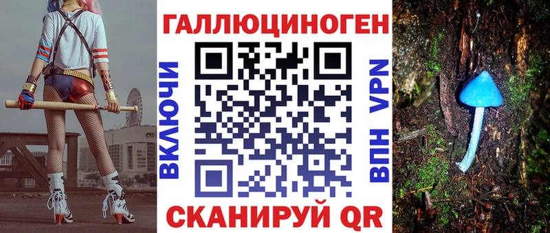 Галлюциногенные грибы Psilocybe  Купить где  Псков 