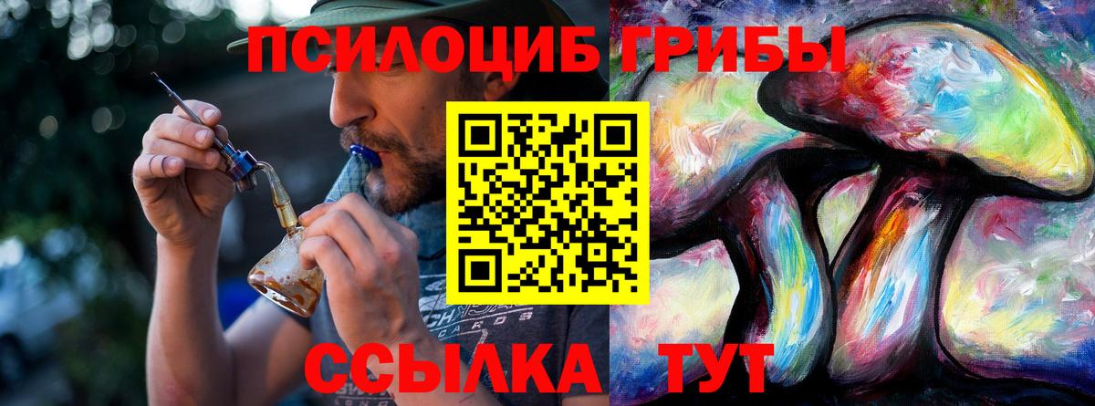Галлюциногенные грибы Cubensis  Вход с VPN  Псков 
