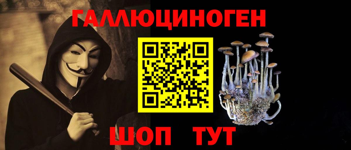 Псилоцибиновые грибы GOLDEN TEACHER Псков