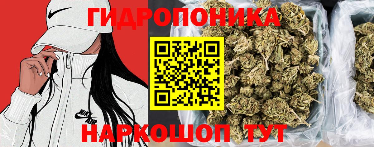 Марихуана ГИДРОПОН Псков
